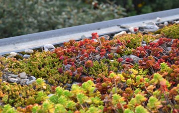 the cost of Blennerhasset green roof installation
